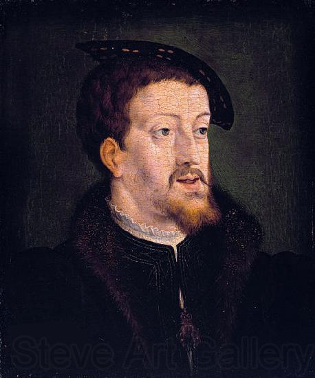Jan Cornelisz Vermeyen Portrait of Charles V (1500-58), emperor of the Holy Roman Empire Spain oil painting art